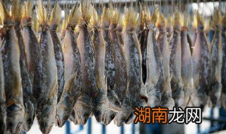 潮汕咸鱼腌制方法视频 潮汕咸鱼腌制方法