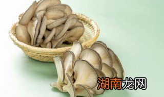 平菇肉片怎么烧 肉末烧平菇的做法