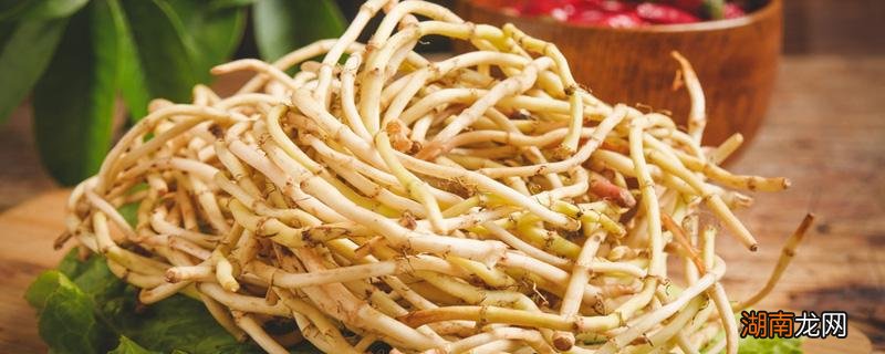 鱼腥草对肾脏有伤害吗 肾不好的人能吃鱼腥草吗