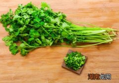 香菜芹菜可以一起吃吗 香菜和什么不能一起吃