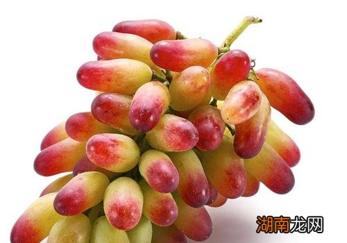 美人指的功效和作用 美人指的营养价值