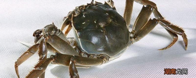 大闸蟹死了还能吃吗?有什么危害? 大闸蟹死了还能吃吗