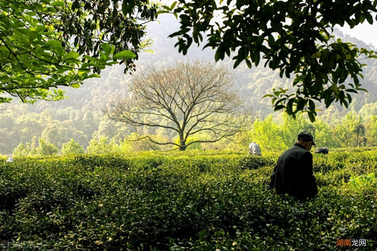 人到五十岁算是老年吗 中老年人是多少岁到多少岁