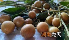 黄皮果的吃法 黄皮果的吃法有哪些