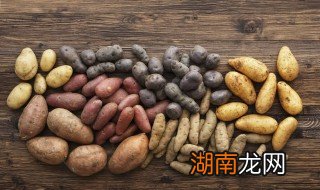 土豆怎么煮 土豆做法大全