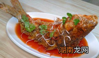 好吃的鲤鱼的做法步骤 鲤鱼最好吃的做法