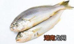 鱼皮是什么鱼的皮 关于鱼皮的介绍