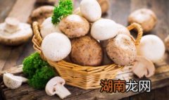 蘑菇炒洋葱怎么做 鲜蘑炒洋葱怎么做好吃