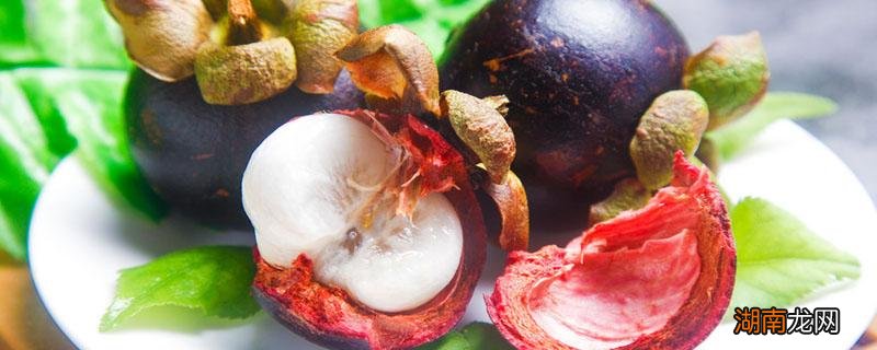 女人吃山竹的好处和坏处 来月经能吃山竹不