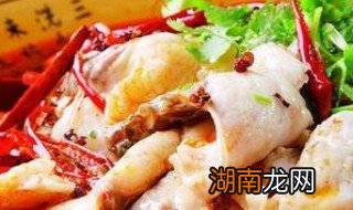 酸菜鱼和水煮鱼的区别 酸菜鱼与水煮鱼的区别有哪些