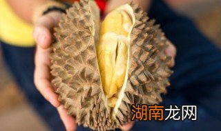 榴莲果肉煲汤 榴莲果肉煲汤怎么煲