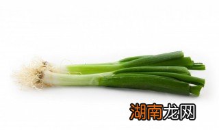 北京地区种葱时间 京葱种植时间和方法