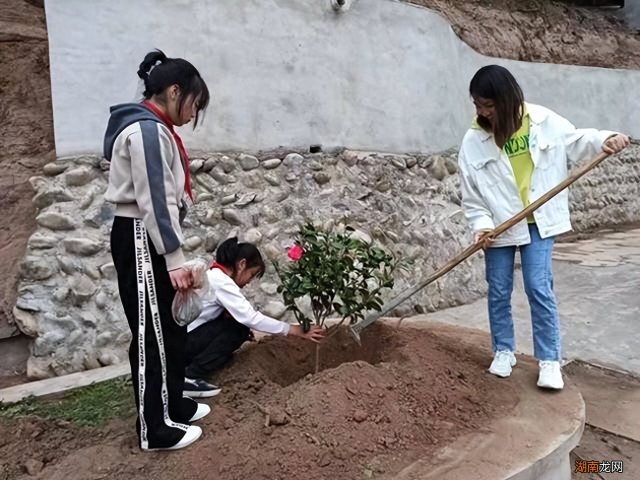 门前6种树最旺宅 门前栽什么树最吉利风水