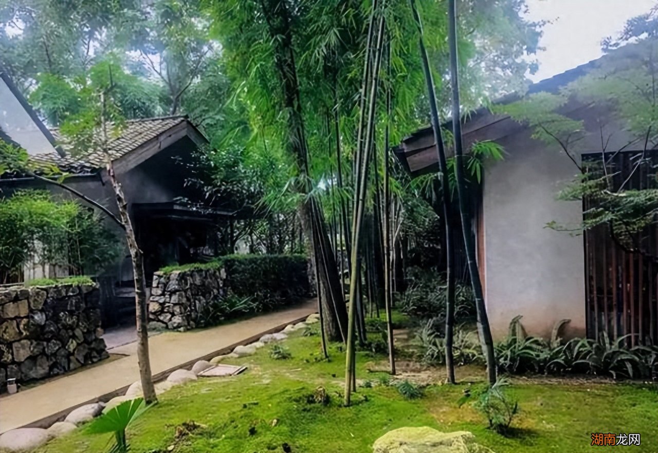 门前6种树最旺宅 门前栽什么树最吉利风水