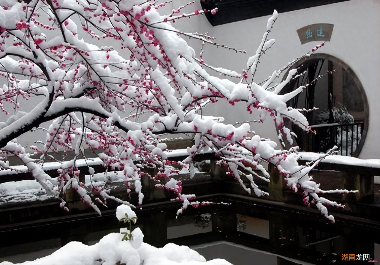 门前6种树最旺宅 门前栽什么树最吉利风水