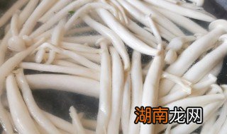 煮海鲜菇多久能熟 海鲜菇煮多久才熟