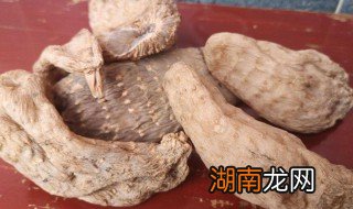 干天麻的正确食用方法 干天麻的正确食用方法百度