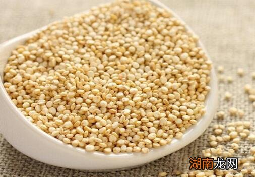 藜麦的营养价值 谷母藜麦的营养价值