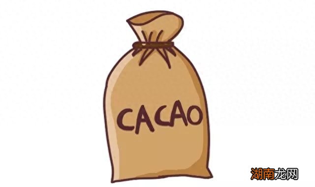 巧克力是用什么做出来的东西