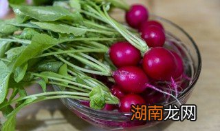 河南萝卜干的腌制方法大全 河南萝卜干腌制的方法