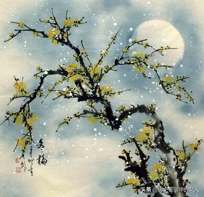 盘点梅花十八雅称 梅花的别称与美称有哪些