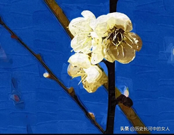 盘点梅花十八雅称 梅花的别称与美称有哪些