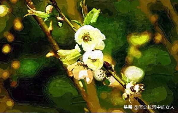 盘点梅花十八雅称 梅花的别称与美称有哪些