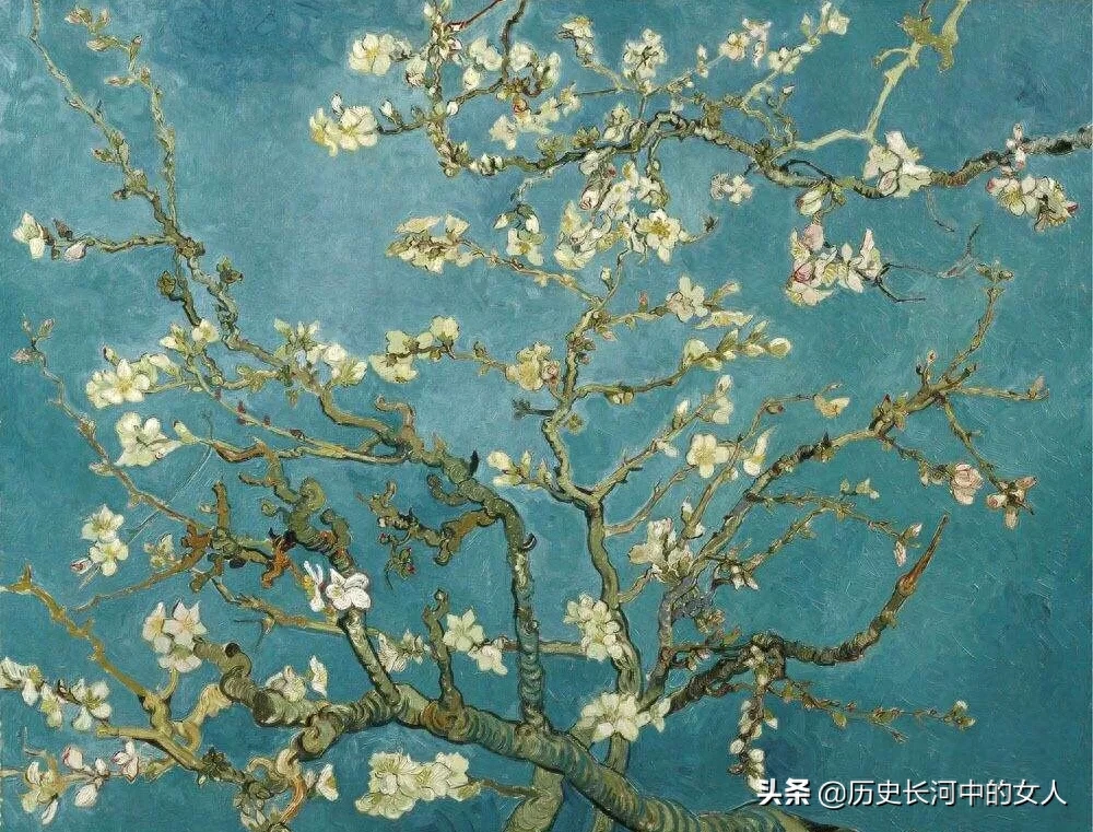 盘点梅花十八雅称 梅花的别称与美称有哪些