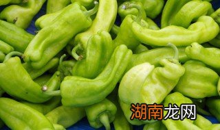 青椒塞肉的做法及步骤 青椒塞肉的青椒
