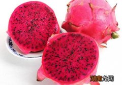 火龙果白的好还是红的好 火龙果白的和红的有什么区别
