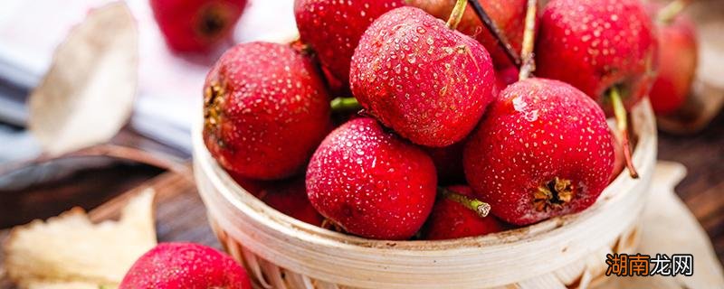 山楂对肝脏功效与作用 山楂对胆结石有好处吗