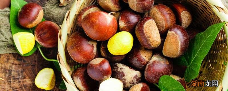栗子需要煮多久 栗子需要煮多久才能熟