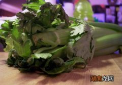 多喝芹菜汁可以减肥吗 喝芹菜汁减肥多少合适