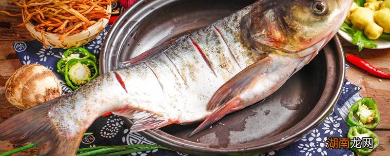 胖头鱼是什么鱼 千岛湖大胖头鱼是什么鱼