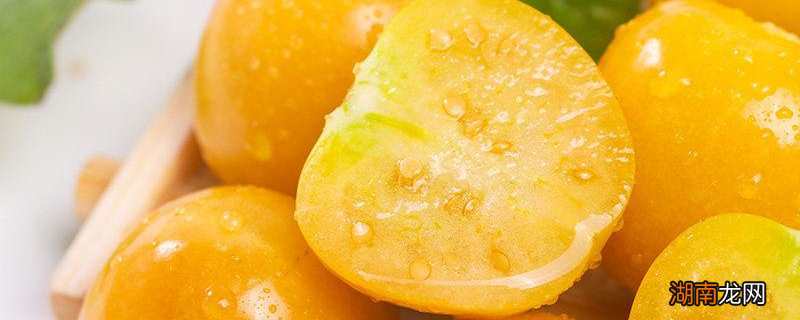 不成熟的姑娘果能吃吗 姑娘果没熟能吃吗