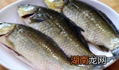 鲫鱼如何做好吃 鲫鱼如何做好吃视频