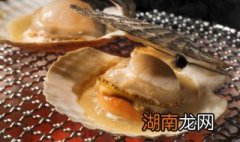 扇贝怎么有毛毛的味道 扇贝怎么有毛毛