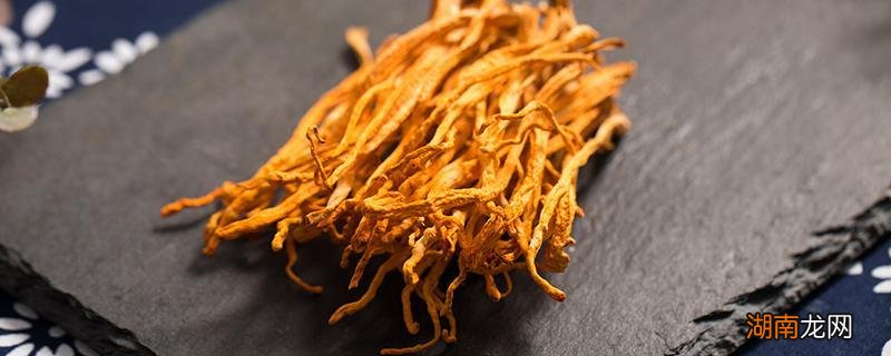 鲜虫草花的功效与作用 鲜虫草花的食用方式和注意事项