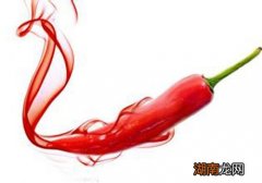 辣椒是热性还是凉性