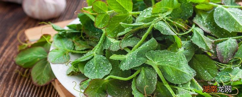 豌豆苗含钾高吗 豌豆苗含钾高不高