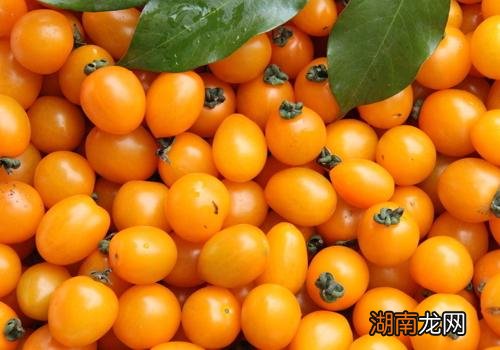 圣女果一天可以吃多少 吃多了有什么坏处