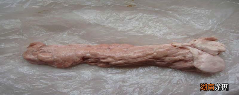 猪胰子的功效与作用 猪胰子的食用方式和注意事项