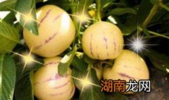 人参果好吃的吃法有哪些品种 人参果好吃的吃法有哪些