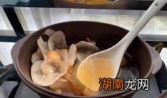 海底椰的常见吃法 海底椰的常见吃法大全