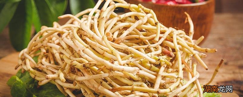 折耳根不适合哪些人吃 吃折耳根好不好