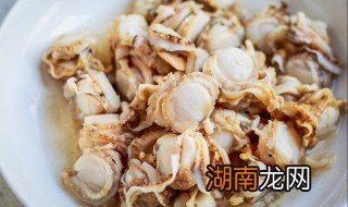 冰冻扇贝肉的做法 冰冻扇贝肉怎么做