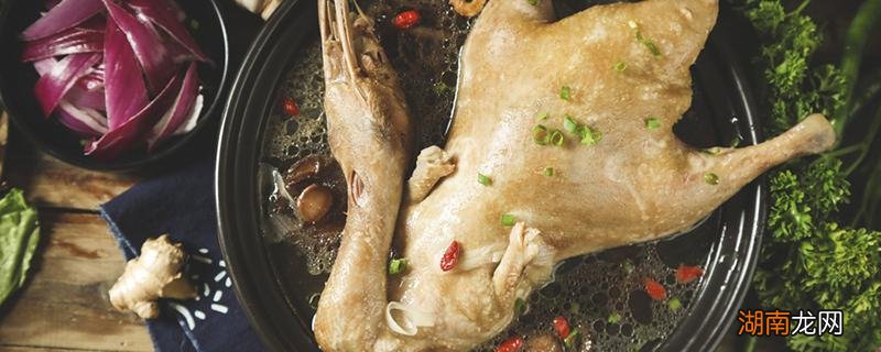 老鸭汤怎样做不腥好喝窍门 老鸭汤怎样做不腥好喝