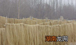 哪里买正宗红薯粉条 哪里能买正宗红薯粉条