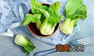 乳白菜制作方法视频 乳白菜制作方法