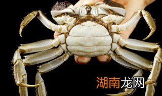 辣炒螃蟹家常做法大全 辣炒螃蟹的烹饪方法